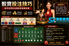 骰寶投注技巧完整指南